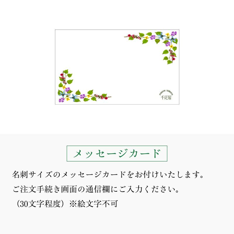京橋千疋屋　ふくふく梅大と干し梅のセット ふくうめ 干し梅 | 京橋千疋屋オフィシャルショップ