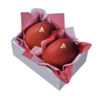 宮崎産完熟マンゴー2玉入（4Lサイズ)
