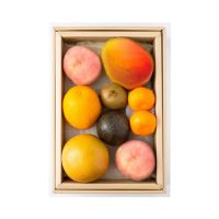 サマーフルーツ詰合せ（季節の果物、5～6種類程）