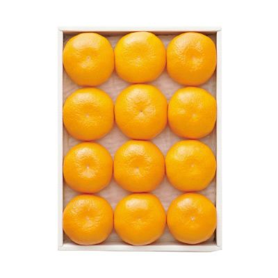 みかんさま専用ページ 香川県産 ハウスさぬき紅みかん 約2kg: ギフト・フード