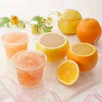 【母の日ギフト2023】<br>自家製グルメデザートシトラスセット