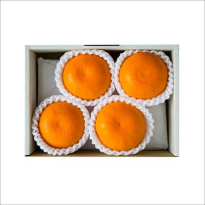 せとか詰め合わせ4個入