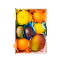 敬老の日ギフト<br>果物詰合せ（季節の果物、4～5種類程）