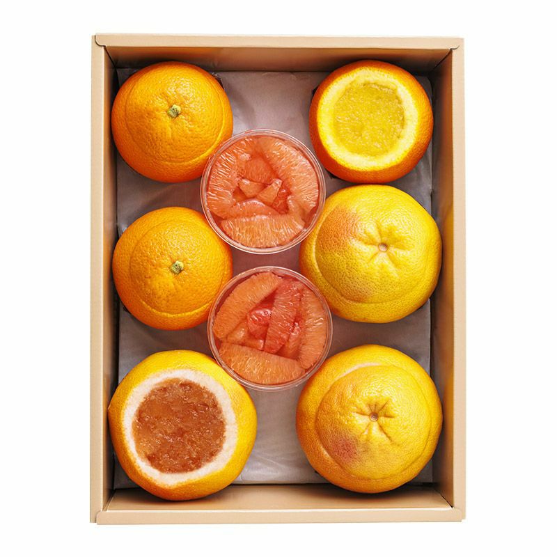 自家製グルメデザートシトラスセット 8個入 | 京橋千疋屋オフィシャル